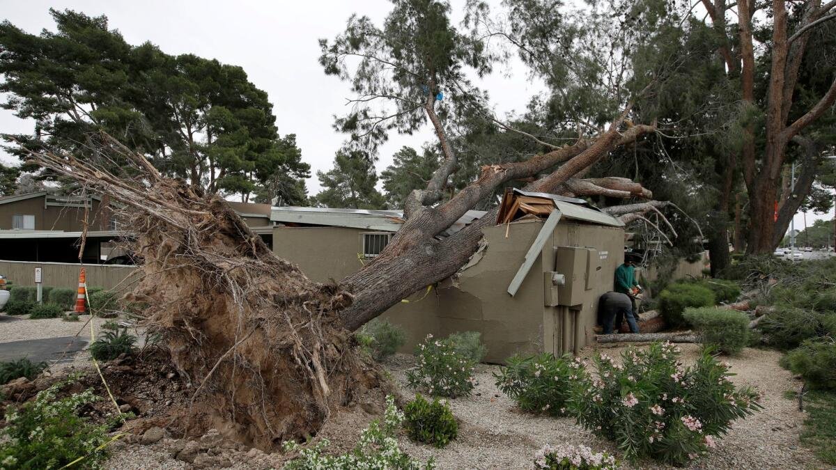 emergency response by restoration services las vegas tree fell on a house
